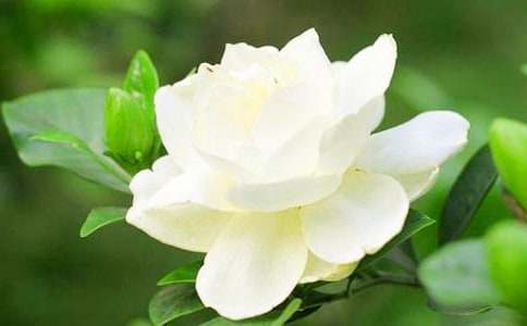 �d�ӻ��_����