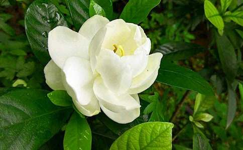 �d�ӻ��ĉ�����