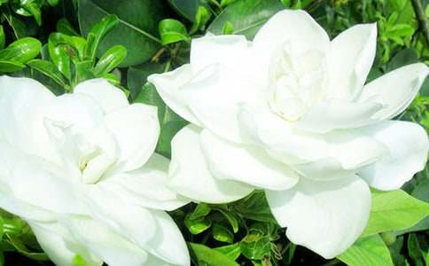 �d�ӻ��_(k��i)