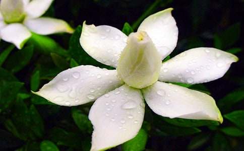 �d�ӻ��_(k��i)-Ԋ(sh��)��