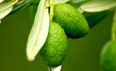 �������ϙ��Ϳ��Է��ѳ��y�᣿