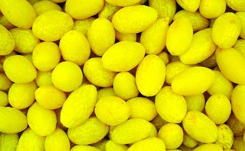 �������ϙ���