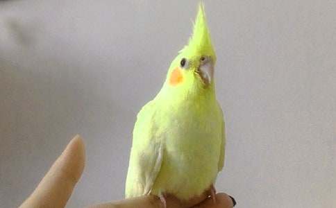 ��Ƥ�W�^���ă�(y��u)�x(15ƪ)