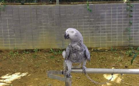 �ҵČ��������W�^