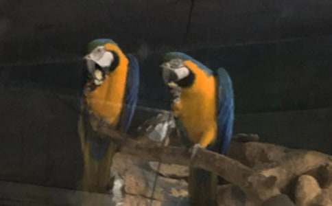 �ҵČ����W�^С�W(xu��)����