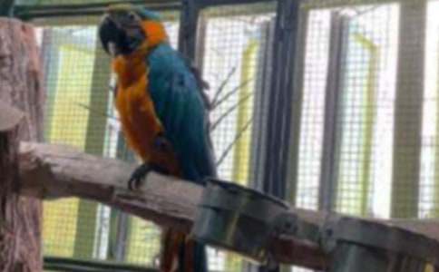 �W�^С�W(xu��)����