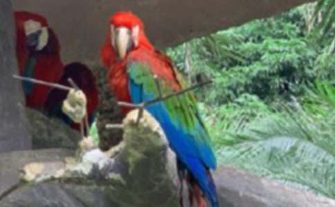 ��Ƥ�W�^����(ͨ��15ƪ)