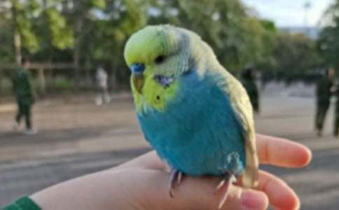 �Ҽҵ��W�^����(15ƪ)