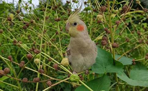 �ɐ۵ă�ֻС�W�^����