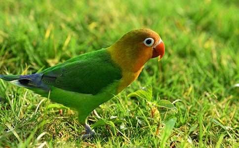 �ҵ��W�^����