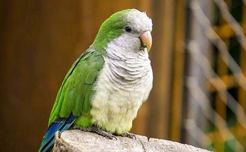 ���ϼ����W�^������