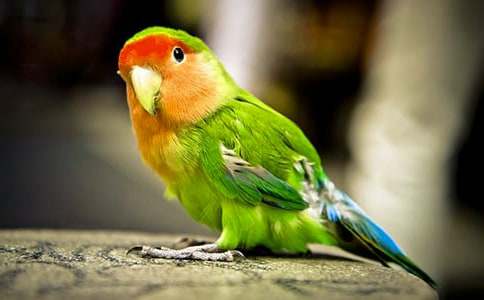 �Ҽҵ��W�^����2ƪ���ᣩ