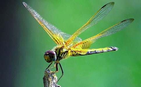 �����w���ѡ��n��˼