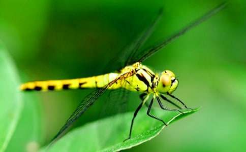 �x�������ۡ��и�