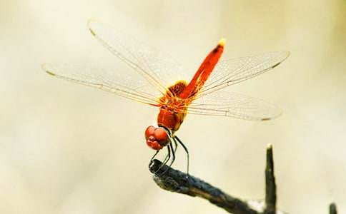 �P�ڡ����w���ѡ��̌W�OӋ