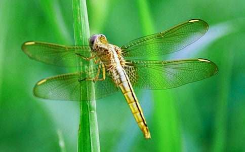 ���t���ѡ��̌W(xu��)�O(sh��)Ӌ(j��)