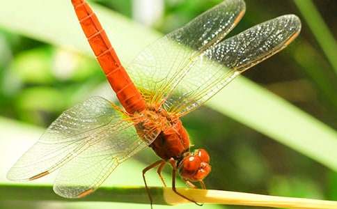 �����w���ѡ��n�Ľ̌W(xu��)��˼