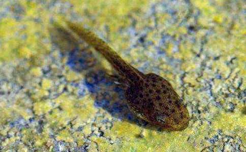 С���L��(hu��)С���̰�(��10ƪ)