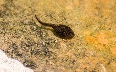 ��С����ҋ������u(p��ng)�n�壨���x10ƪ��