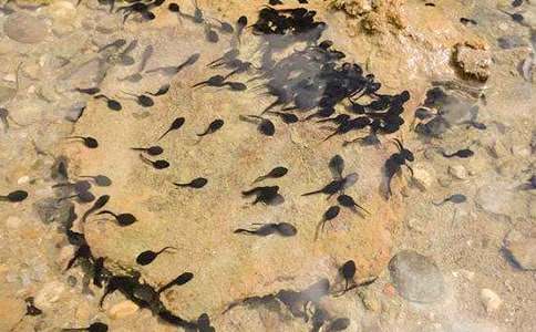 С���L��(hu��)С���̰���(j��ng)�䡾6ƪ��