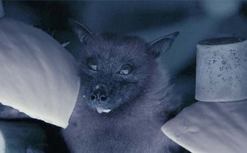 ����������_(d��)���u�n��