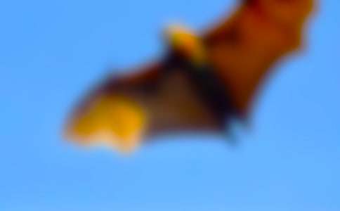 ����������_(d��)���̌W(xu��)�O(sh��)Ӌ(j��)(���A9ƪ)