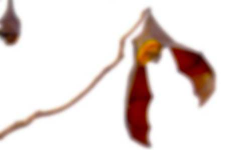 �������㡷�x���6ƪ