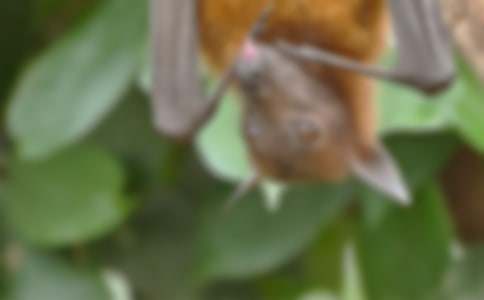 �������㡷�x���(6ƪ)