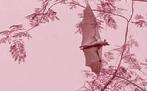 ��������_�̌W�OӋ15ƪ���]��