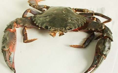 �з��������