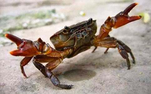 ِ�з������