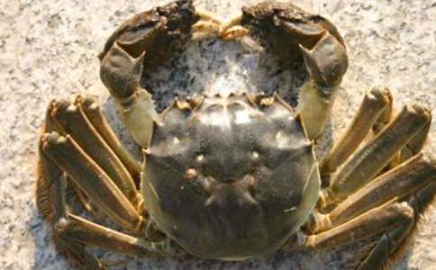 ��з���ı؂䡾15ƪ��