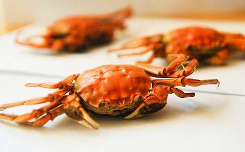 ������g(sh��)�̰��������з