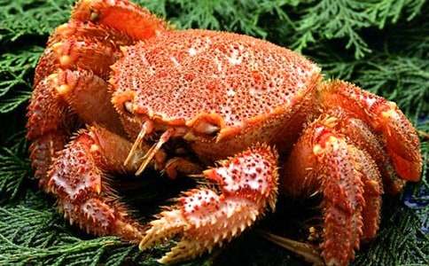 �з�ă�(n��i)�K������ô�k