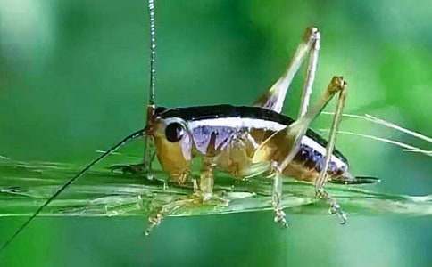 �����סլ���u�n��ͨ��