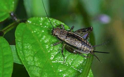 ���סլ�u�n�塾���]��