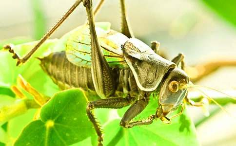 ���סլ���ġ���(j��ng)�䡿