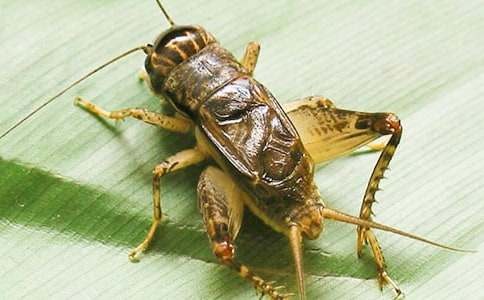 ���סլ�u�n��ͨ��