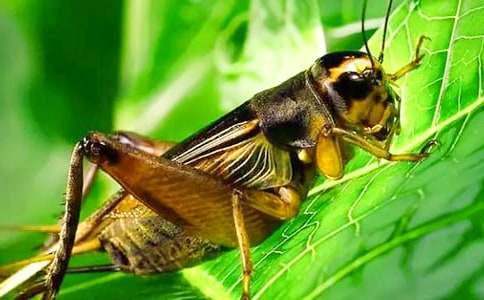 ���סլ���u(p��ng)�n�壨���x23ƪ��