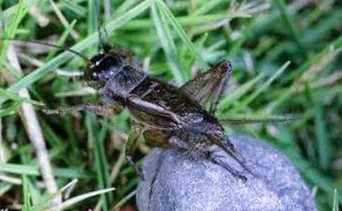 ���᡿���סլ�u�n��