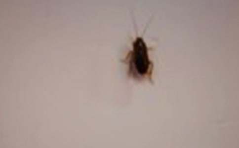 ���������Ч�ķ�������Щ