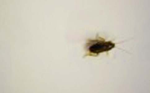 ���������Ч�ķ���