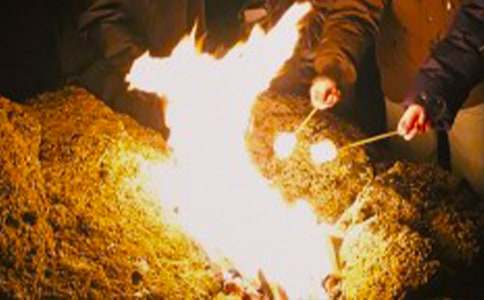 ����������ģ�����15ƪ��