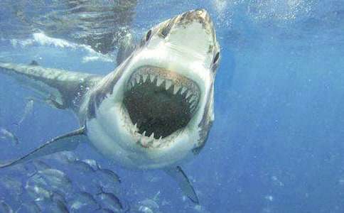 ���P(gu��n)���~������