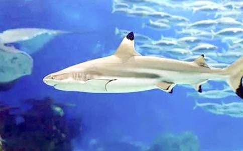 ���~(y��)������