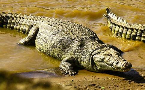 �а����������^��ӛ��c�����{�~׃��ӛ��˼