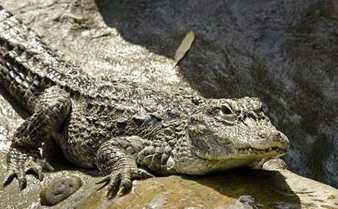 �{�~��Ъ���Z