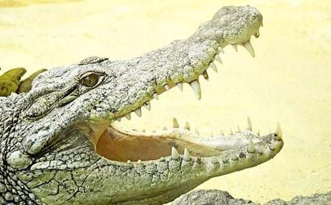 �����zӰ���״��ĵ��C�������{�~