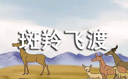 �������w�ɡ��x��С����T��