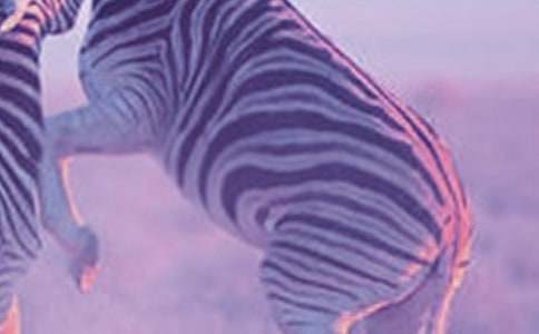 ���ˇ�g�I�����g�̰������R�ڰ׮�